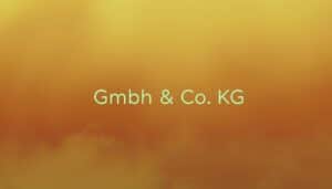 GmbH & Co. KG Rechtsform
